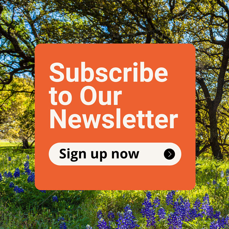 Subscribe to our newsletter